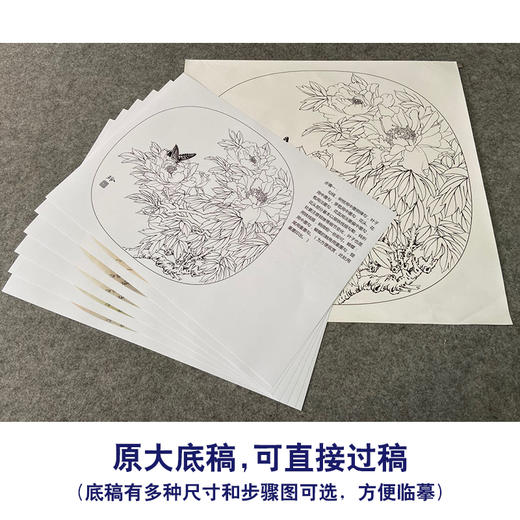 【有步骤、大彩图】郑玲玲工笔画白描稿小品《春光和煦》牡丹蝴蝶初学者临摹花鸟线稿ZL77 商品图1