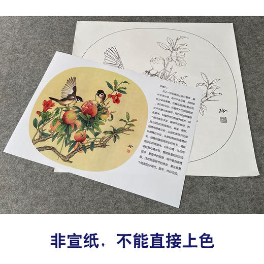【有步骤、大彩图】郑玲玲工笔画白描底稿小品《硕果满枝头》石榴初学者临摹花鸟线稿ZL84 商品图2