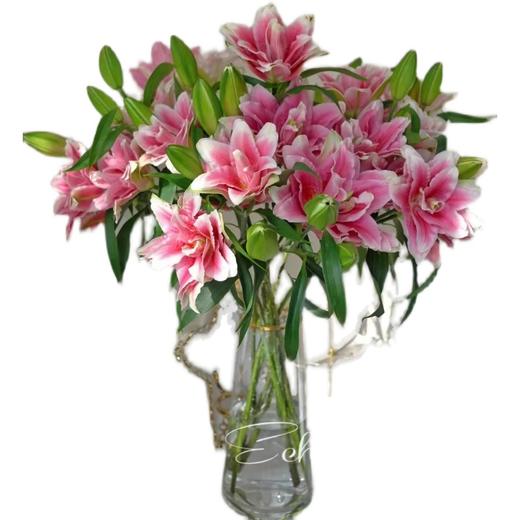 精品花材西亚拉重瓣百合花5支多头 商品图4