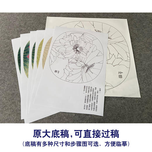 【有步骤、大彩图】郑玲玲工笔画白描底稿小品《雨后新荷》荷花蜻蜓初学者临摹花鸟线稿ZL82 商品图1
