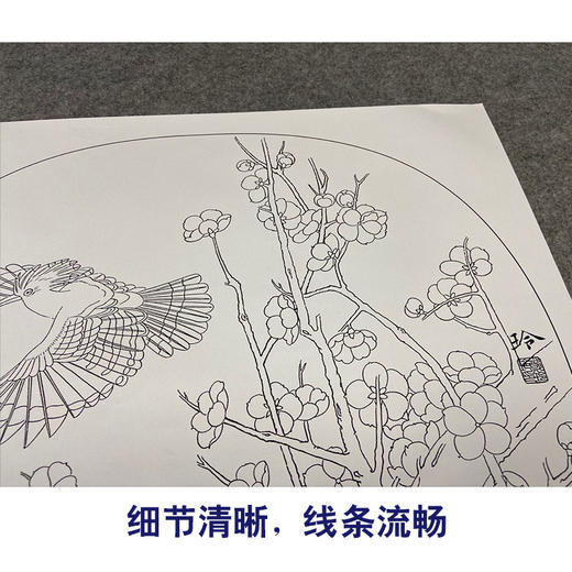 【有步骤、大彩图】郑玲玲工笔画白描底稿小品《戴胜迎春图》梅花戴胜鸟初学者临摹花鸟线稿ZL72 商品图4