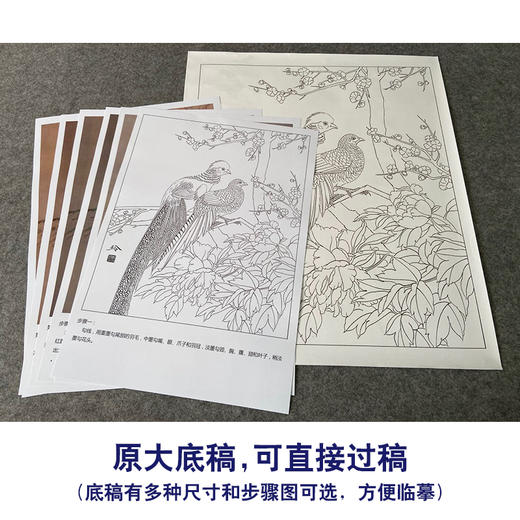 【有步骤、大彩图】郑玲玲工笔画白描底稿《岁月静好》锦鸡图初学者临摹花鸟线稿ZL57 商品图1