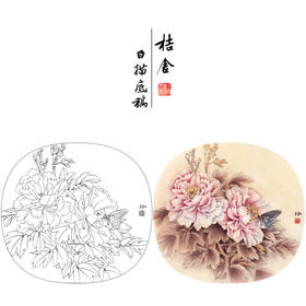 【有步骤、大彩图】郑玲玲工笔画白描底稿小品《富贵蝶来》牡丹初学者临摹花鸟线稿ZL76