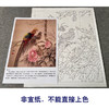 【有步骤、大彩图】郑玲玲工笔画白描底稿《岁月静好》锦鸡图初学者临摹花鸟线稿ZL57 商品缩略图2