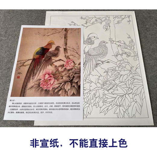 【有步骤、大彩图】郑玲玲工笔画白描底稿《岁月静好》锦鸡图初学者临摹花鸟线稿ZL57 商品图2