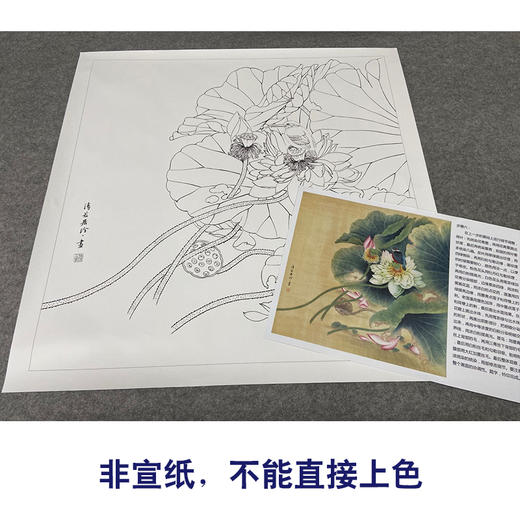【有步骤、大彩图】郑玲玲工笔画白描底稿斗方小品《晨露碧荷语无声》荷花初学者临摹花鸟线稿ZL88 商品图2