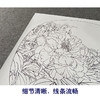 【有步骤、大彩图】郑玲玲工笔画白描底稿小品《清夏》牡丹初学者临摹花鸟线稿ZL78 商品缩略图4