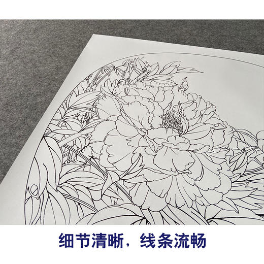 【有步骤、大彩图】郑玲玲工笔画白描底稿小品《清夏》牡丹初学者临摹花鸟线稿ZL78 商品图4