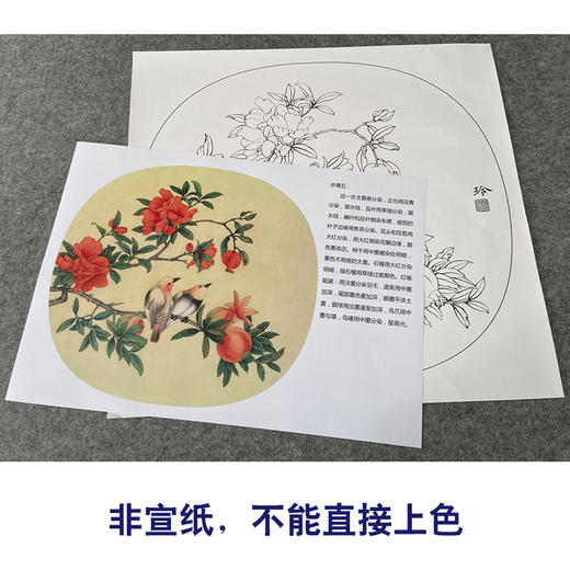 【有步骤、大彩图】郑玲玲工笔画白描底稿小品《逸韵悠然》石榴初学者临摹花鸟线稿ZL86 商品图2