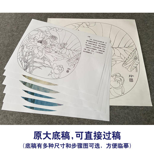【有步骤、大彩图】郑玲玲工笔画白描底稿小品《碧荷生幽泉》荷花翠鸟初学者临摹花鸟线稿ZL80 商品图1