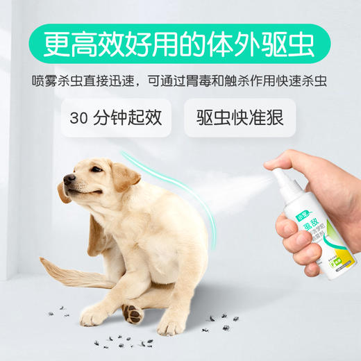 小宠虱敌非泼罗尼喷雾剂100ml 体外驱虫喷剂 安全高效去跳蚤虱子蜱虫 商品图1
