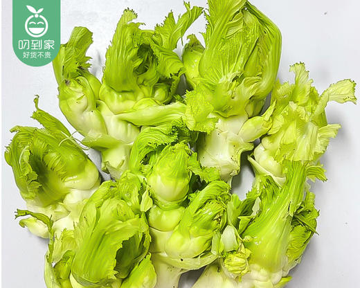 四川新鲜小儿菜（500g±50g/份） 商品图4