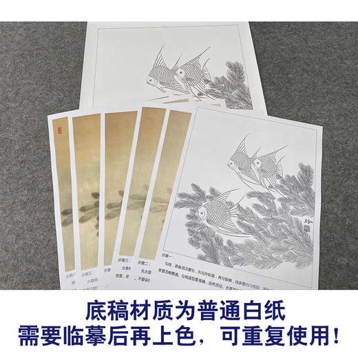 【有步骤、大彩图】郑玲玲工笔画白描底稿《畅游》燕鱼图初学者临摹花鸟线稿ZL48 商品图3