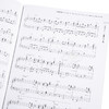 【中商原版】钢琴谱 中集 动漫ACG歌曲集 日文原版 アニソン ピアノコレクション 商品缩略图3