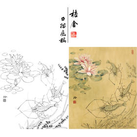 【有步骤、大彩图】郑玲玲工笔画白描底稿《虾趣图》荷花大虾初学者临摹花鸟线稿ZL49