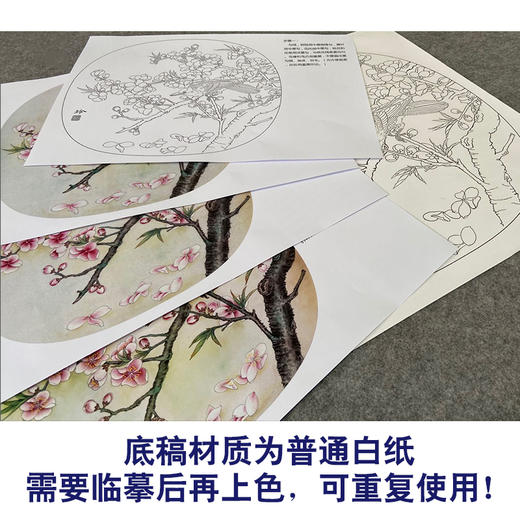 【有步骤、大彩图】郑玲玲工笔画白描底稿小品《飞花轻似梦》桃花黄鹂初学者临摹花鸟线稿ZL69 商品图3