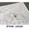 【有步骤、大彩图】郑玲玲工笔画白描底稿小品《清夏荷香》荷花初学者临摹花鸟线稿ZL83 商品缩略图4