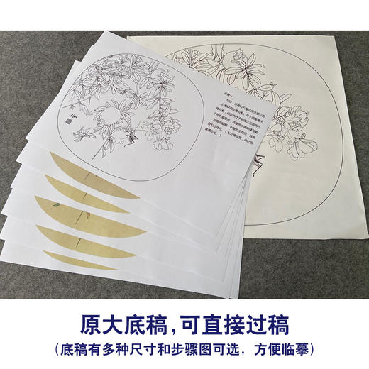 【有步骤、大彩图】郑玲玲工笔画白描底稿小品《硕实》石榴初学者临摹花鸟线稿ZL85 商品图1