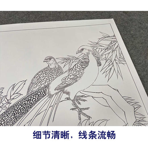 【有步骤、大彩图】郑玲玲工笔画白描底稿《福贵祥和图》牡丹锦鸡初学者临摹花鸟线稿ZL52 商品图4