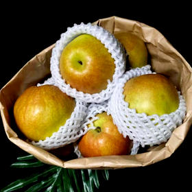 【囤货日：1件9.5折，2件8.5折】