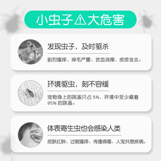 小宠虱敌非泼罗尼喷雾剂100ml 体外驱虫喷剂 安全高效去跳蚤虱子蜱虫 商品图3