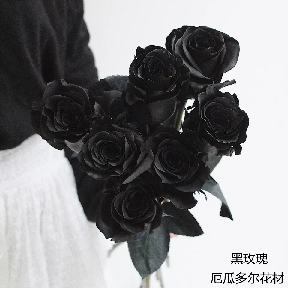 ROSE BLACK黑玫瑰 厄瓜多尔染色黑天鹅玫瑰花  10支