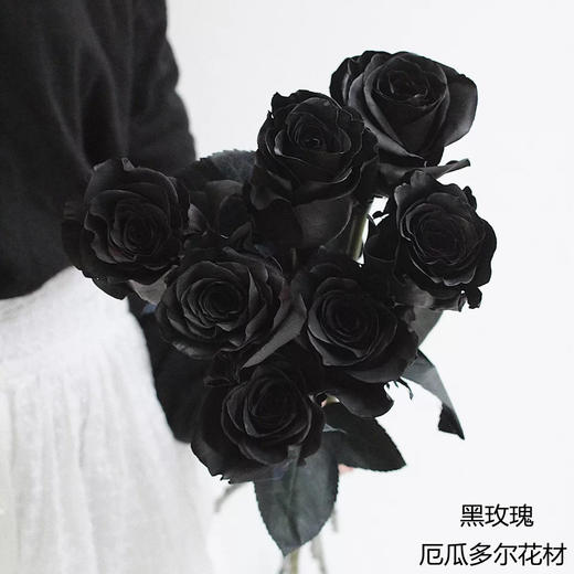 ROSE BLACK黑玫瑰 厄瓜多尔染色黑天鹅玫瑰花  10支 商品图0