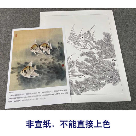 【有步骤、大彩图】郑玲玲工笔画白描底稿《畅游》燕鱼图初学者临摹花鸟线稿ZL48 商品图2
