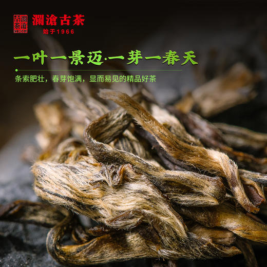 澜沧古茶2021年001大饼普洱茶生茶400g/饼 商品图2