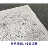 【有步骤、大彩图】郑玲玲工笔画白描底稿《牡丹双锦图》牡丹鲤鱼初学者临摹花鸟线稿ZL51 商品缩略图4