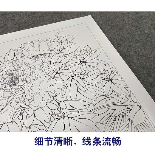 【有步骤、大彩图】郑玲玲工笔画白描底稿《牡丹双锦图》牡丹鲤鱼初学者临摹花鸟线稿ZL51 商品图4