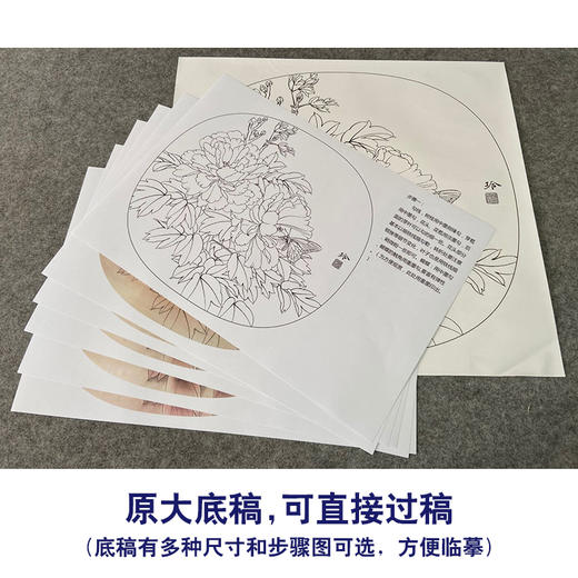 【有步骤、大彩图】郑玲玲工笔画白描底稿小品《富贵蝶来》牡丹初学者临摹花鸟线稿ZL76 商品图1