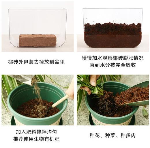 【2快块装】园林花卉苗木用大货椰糠砖 植物栽培基质椰糠 低盐多肉椰砖营养土 商品图2
