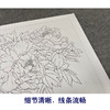 【有步骤、大彩图】郑玲玲工笔画白描底稿《福贵有鲤》牡丹鲤鱼初学者临摹花鸟线稿ZL46 商品缩略图4