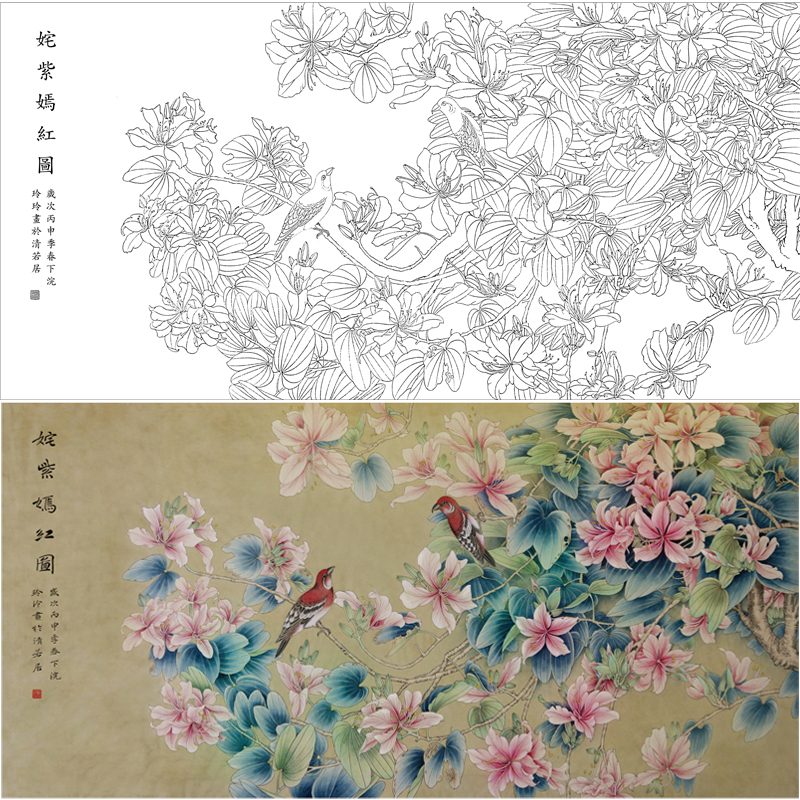 【有步骤、大彩图】郑玲玲横幅工笔画白描底稿《姹紫嫣红图》紫荆花初学者临摹花鸟线稿ZL94