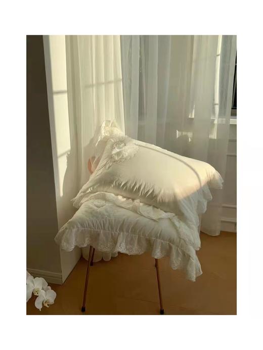 纯棉四件套 床单被罩 枕套 被子 薄被套 被套 商品图13