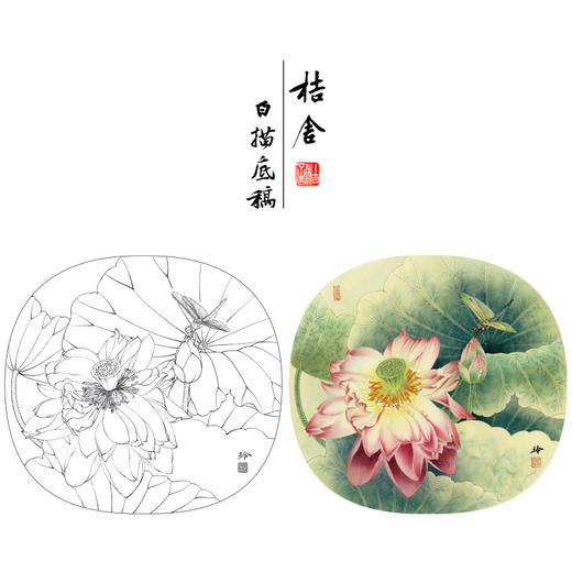 【有步骤、大彩图】郑玲玲工笔画白描底稿小品《雨后新荷》荷花蜻蜓初学者临摹花鸟线稿ZL82 商品图0
