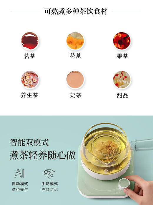 鸣盏煮茶器养生壶办公室多功能全自动小型迷你玻璃煮茶壶电热茶炉 商品图2