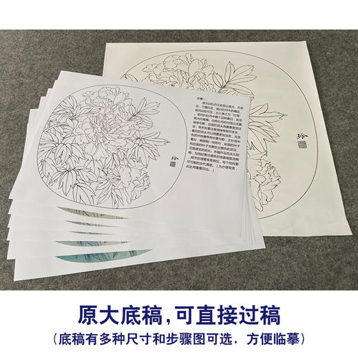 【有步骤、大彩图】郑玲玲工笔画白描稿小品《夜光白牡丹》牡丹初学者临摹花鸟线稿ZL79 商品图1