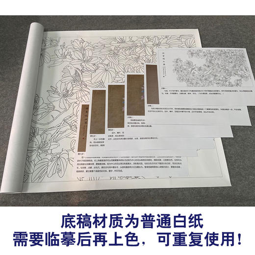 【有步骤、大彩图】郑玲玲横幅工笔画白描底稿《姹紫嫣红图》紫荆花初学者临摹花鸟线稿ZL94 商品图3