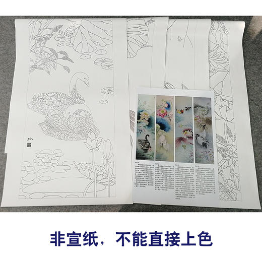 【有步骤、大彩图】郑玲玲工笔画白描底稿四条屏荷花图《春夏秋冬》ZL98 商品图2