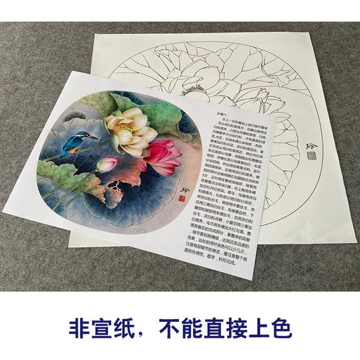 【有步骤、大彩图】郑玲玲工笔画白描稿小品《荷香幽韵》荷花初学者临摹花鸟线稿ZL81 商品图2