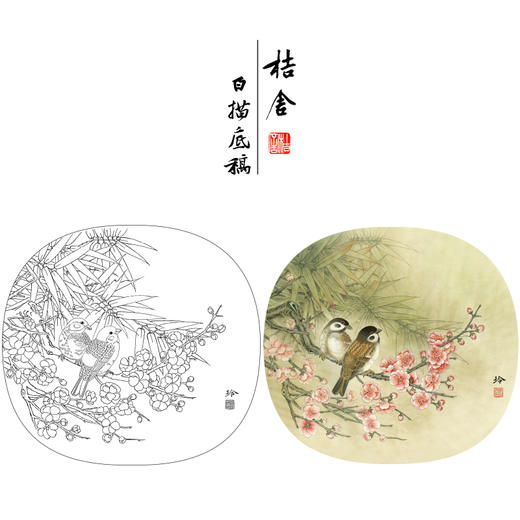 【有步骤、大彩图】郑玲玲工笔画白描底稿小品《梅花家雀》初学者临摹花鸟线稿ZL74 商品图0