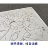 【有步骤、大彩图】郑玲玲工笔画白描稿小品《荷香幽韵》荷花初学者临摹花鸟线稿ZL81 商品缩略图4