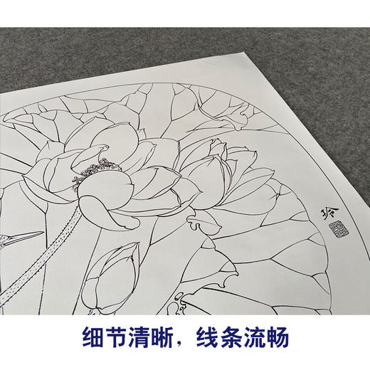【有步骤、大彩图】郑玲玲工笔画白描稿小品《荷香幽韵》荷花初学者临摹花鸟线稿ZL81 商品图4