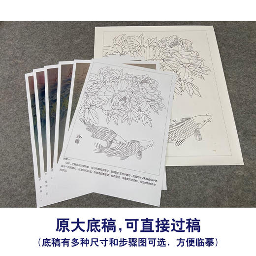 【有步骤、大彩图】郑玲玲工笔画白描底稿《福贵有鲤》牡丹鲤鱼初学者临摹花鸟线稿ZL46 商品图1