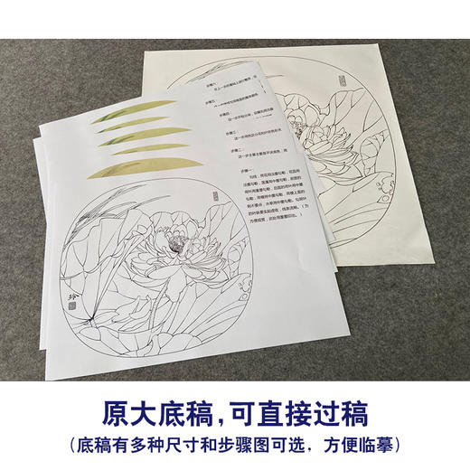 【有步骤、大彩图】郑玲玲工笔画白描底稿小品《清夏荷香》荷花初学者临摹花鸟线稿ZL83 商品图1