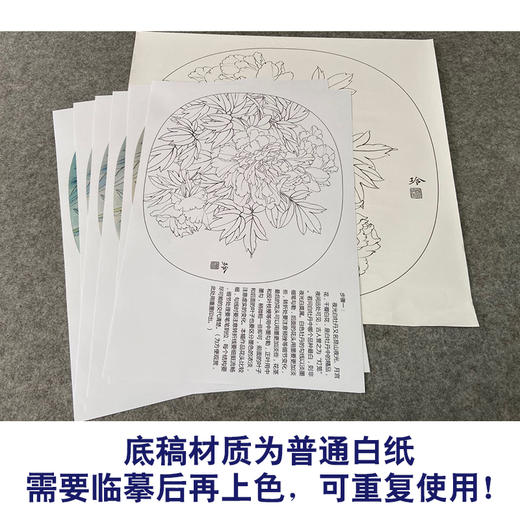 【有步骤、大彩图】郑玲玲工笔画白描稿小品《夜光白牡丹》牡丹初学者临摹花鸟线稿ZL79 商品图3