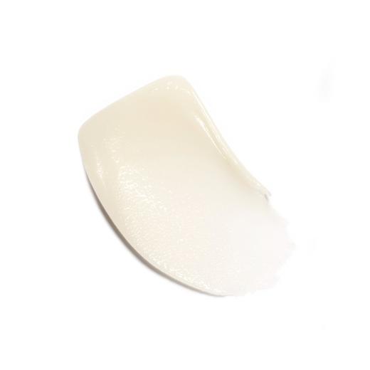 法国 CHANEL香奈儿 山茶花润泽保湿唇膜/润唇膏 10g 商品图2