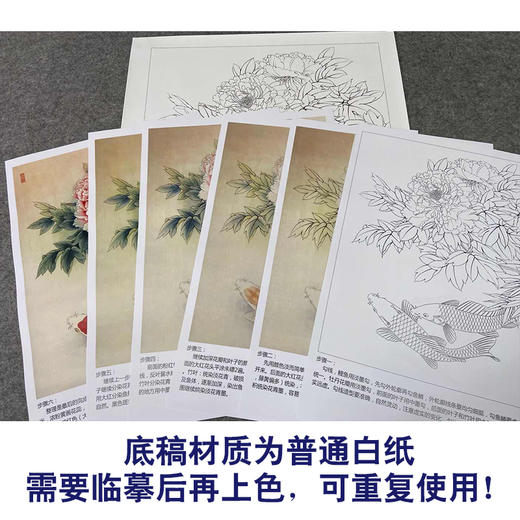 【有步骤、大彩图】郑玲玲工笔画白描底稿《牡丹双锦图》牡丹鲤鱼初学者临摹花鸟线稿ZL51 商品图3